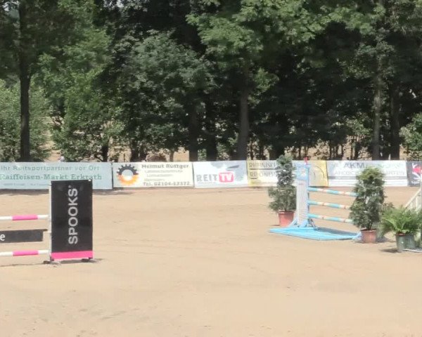 Reitturnier Erkrath - Uhlenhof 2016