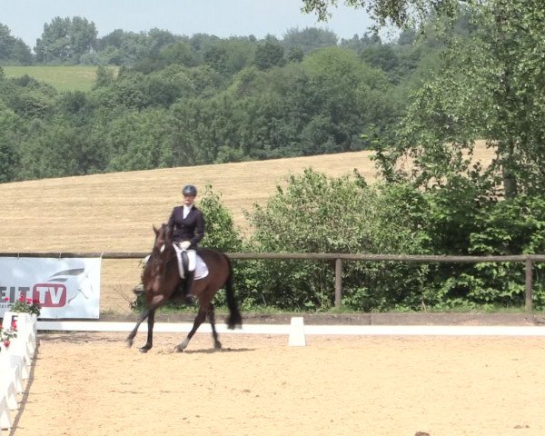 Reitturnier Erkrath - Uhlenhof 2016
