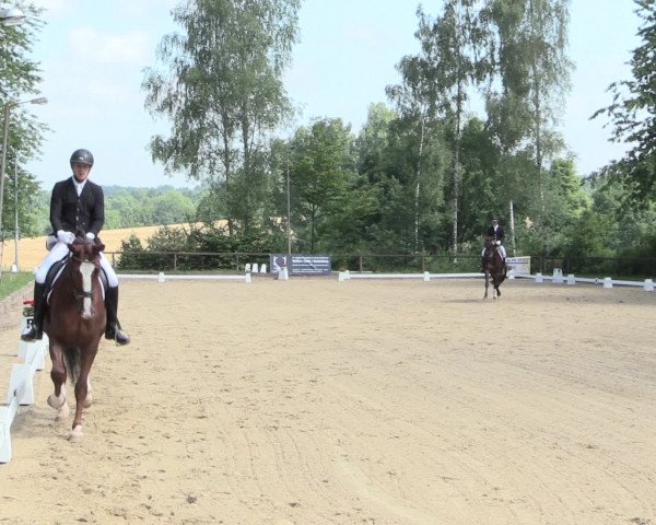 Reitturnier Erkrath - Uhlenhof 2016