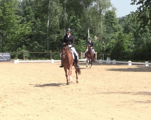 Reitturnier Erkrath - Uhlenhof 2016
