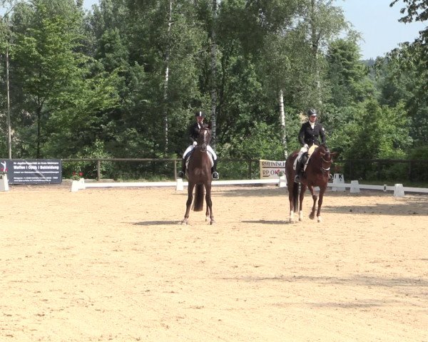 Reitturnier Erkrath - Uhlenhof 2016