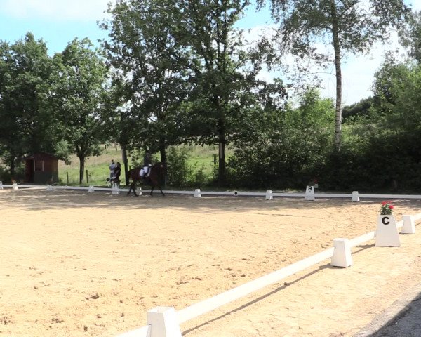 Reitturnier Erkrath - Uhlenhof 2016