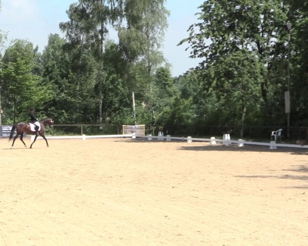 Reitturnier Erkrath - Uhlenhof 2016