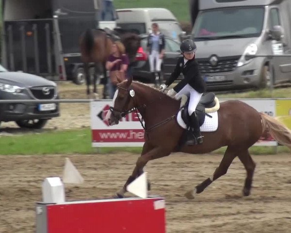 Heinsberger Dressur- und Springtage 2016