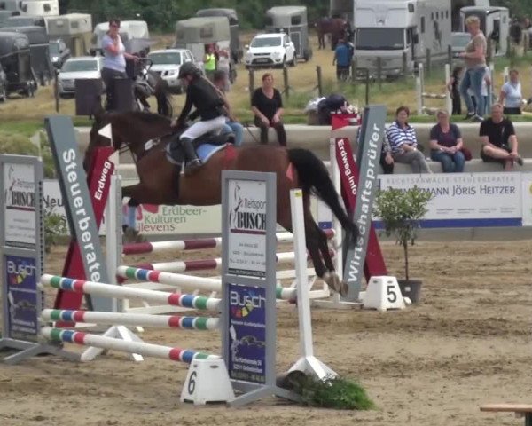 Heinsberger Dressur- und Springtage 2016