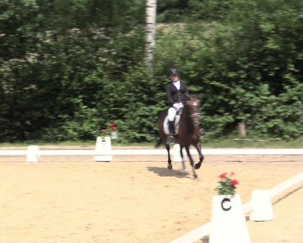 Reitturnier Erkrath - Uhlenhof 2016