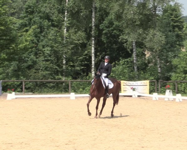 Reitturnier Erkrath - Uhlenhof 2016