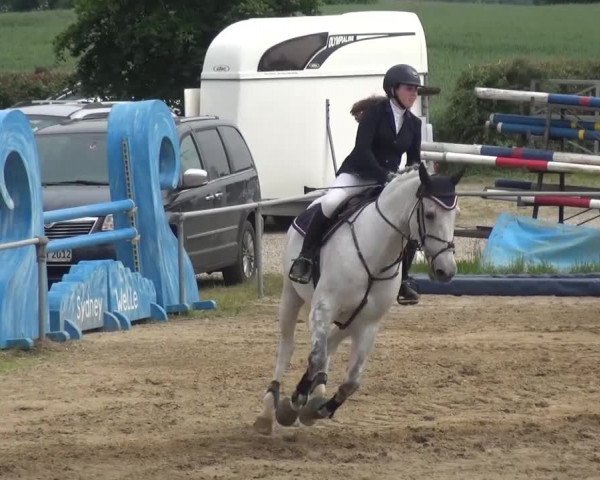 Heinsberger Dressur- und Springtage 2016