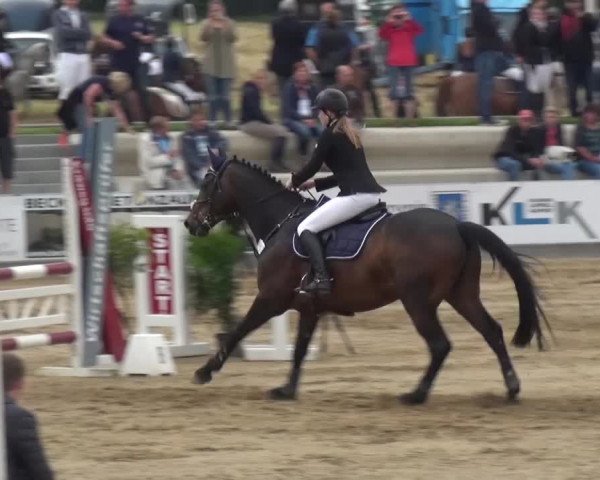 Heinsberger Dressur- und Springtage 2016