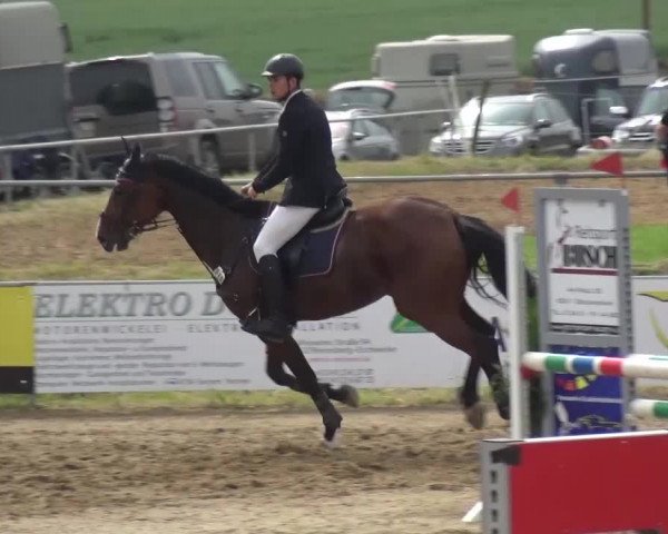 Heinsberger Dressur- und Springtage 2016