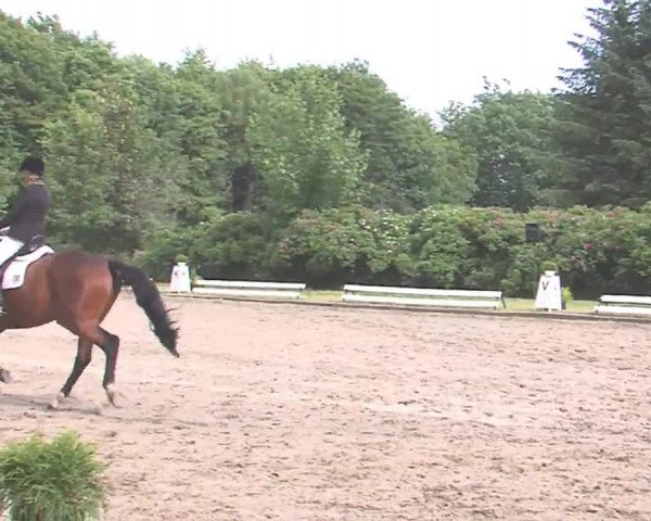 Reitturnier Hanerau-Hademarschen 2016