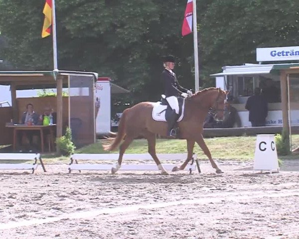 Reitturnier Hanerau-Hademarschen 2016