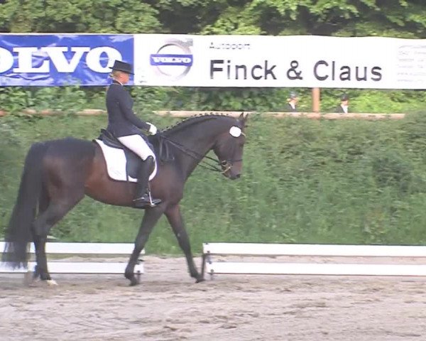 Reitturnier Hanerau-Hademarschen 2016