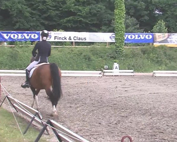 Reitturnier Hanerau-Hademarschen 2016