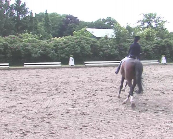 Reitturnier Hanerau-Hademarschen 2016