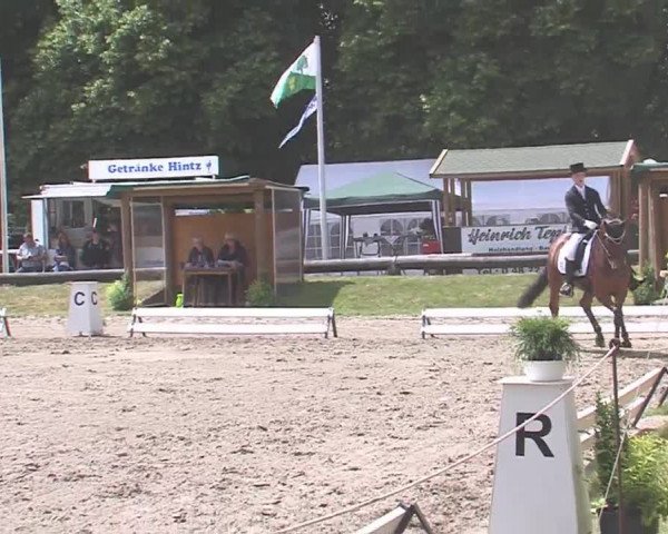 Reitturnier Hanerau-Hademarschen 2016