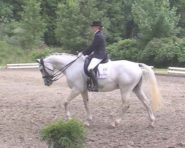 Reitturnier Hanerau-Hademarschen 2016
