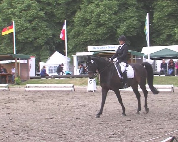 Reitturnier Hanerau-Hademarschen 2016