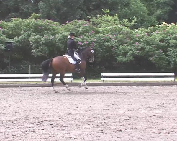 Reitturnier Hanerau-Hademarschen 2016
