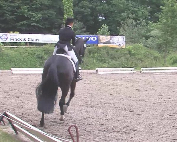 Reitturnier Hanerau-Hademarschen 2016