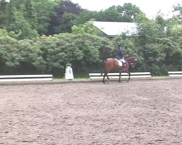 Reitturnier Hanerau-Hademarschen 2016