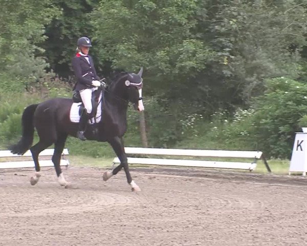 Reitturnier Hanerau-Hademarschen 2016