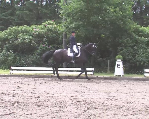 Reitturnier Hanerau-Hademarschen 2016