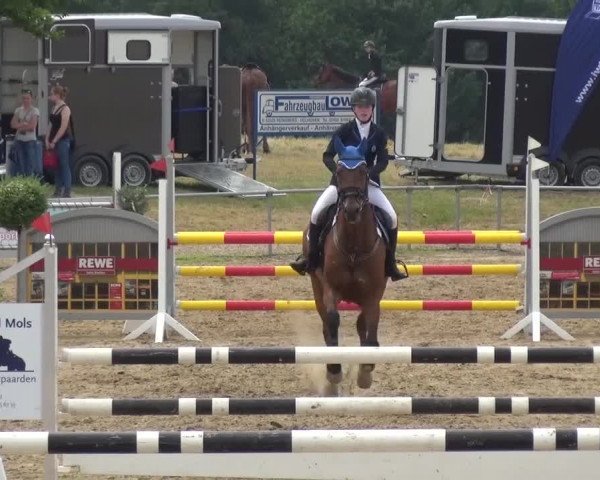 Heinsberger Dressur- und Springtage 2016