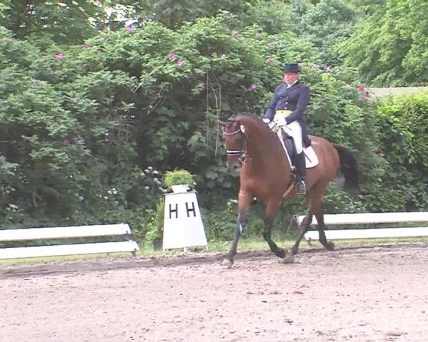 Reitturnier Hanerau-Hademarschen 2016