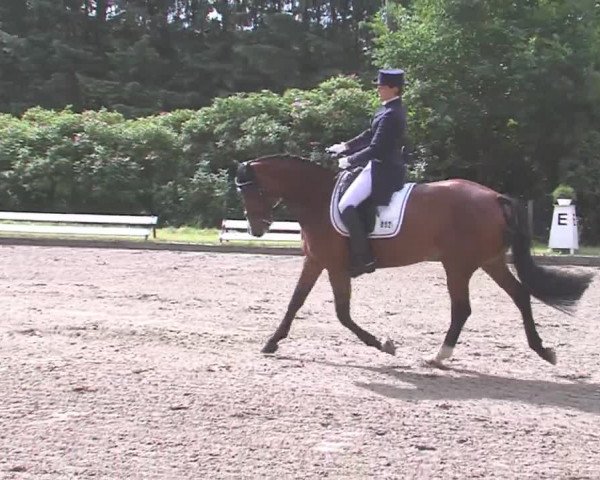 Reitturnier Hanerau-Hademarschen 2016