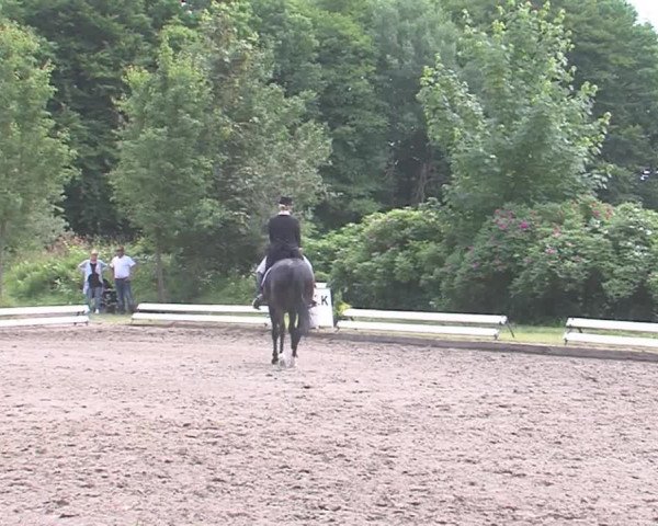 Reitturnier Hanerau-Hademarschen 2016