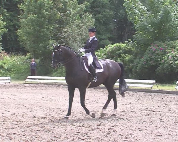 Reitturnier Hanerau-Hademarschen 2016