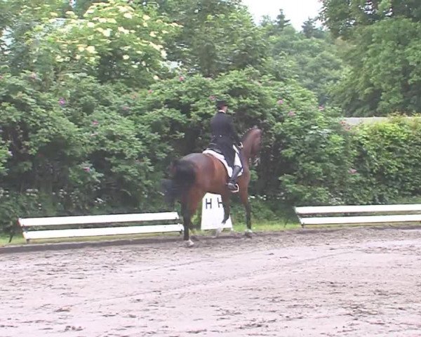 Reitturnier Hanerau-Hademarschen 2016