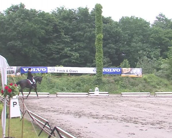 Reitturnier Hanerau-Hademarschen 2016