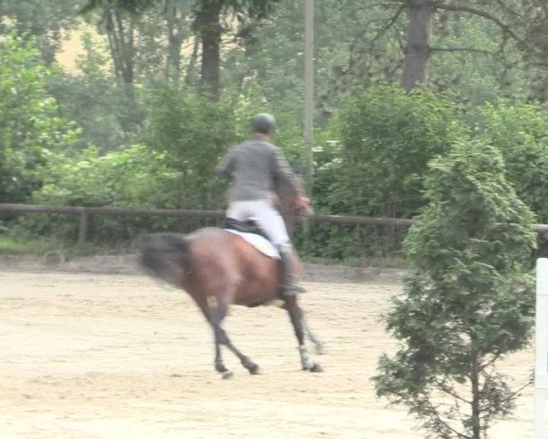 Reitturnier Erkrath - Uhlenhof 2016