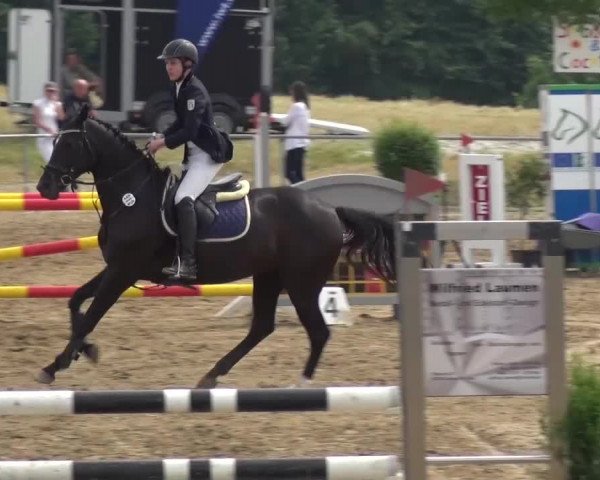 Heinsberger Dressur- und Springtage 2016