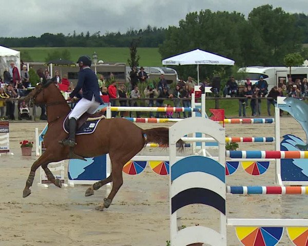 Reitturnier Detter 2016