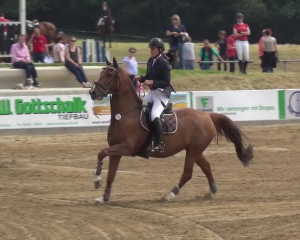 Heinsberger Dressur- und Springtage 2016