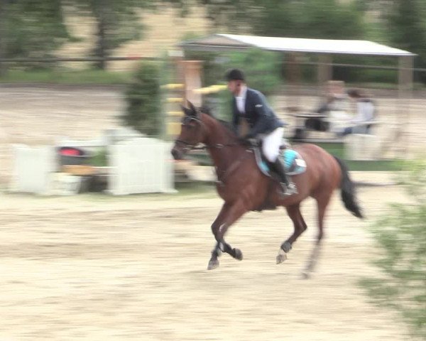 Reitturnier Erkrath - Uhlenhof 2016