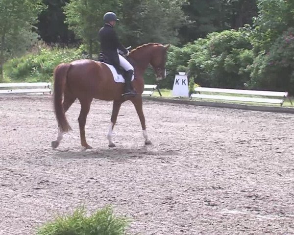 Reitturnier Hanerau-Hademarschen 2016