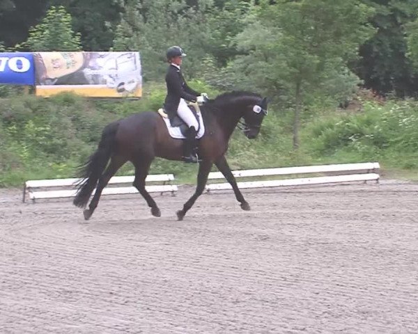 Reitturnier Hanerau-Hademarschen 2016