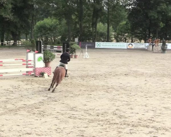 Reitturnier Erkrath - Uhlenhof 2016