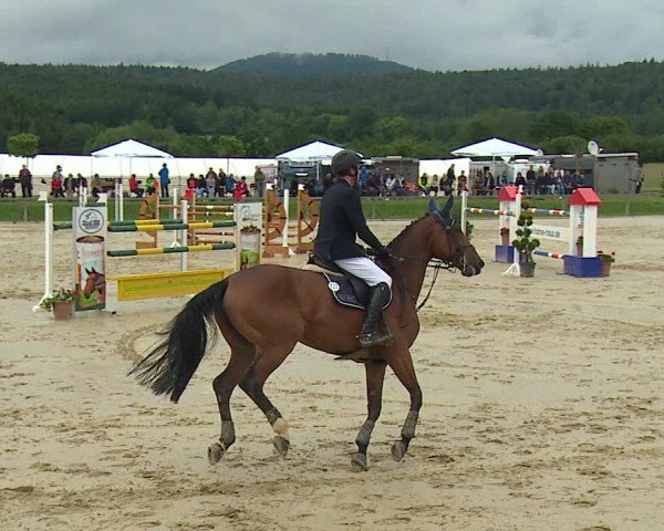 Reitturnier Detter 2016