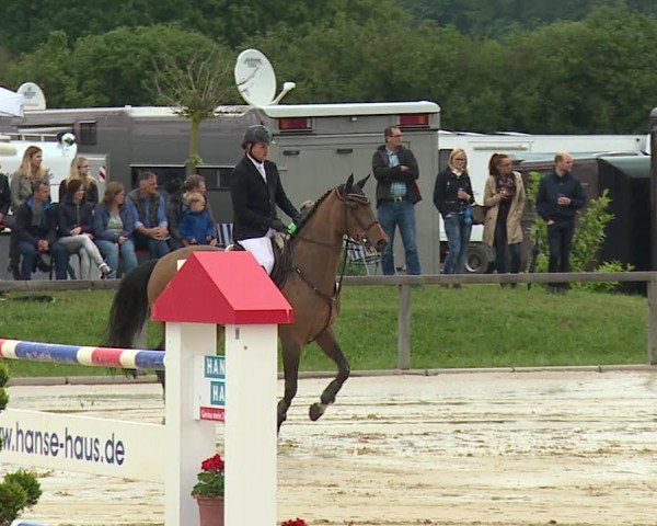 Reitturnier Detter 2016