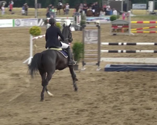 Heinsberger Dressur- und Springtage 2016