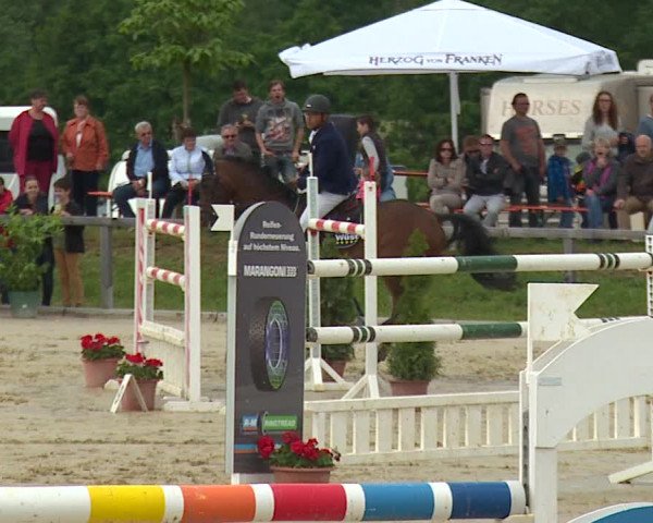 Reitturnier Detter 2016