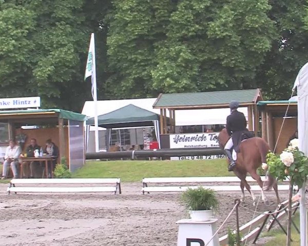 Reitturnier Hanerau-Hademarschen 2016
