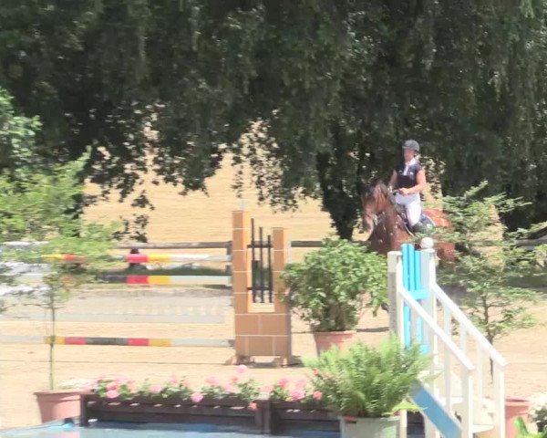 Reitturnier Erkrath - Uhlenhof 2016