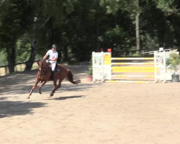 Reitturnier Erkrath - Uhlenhof 2016