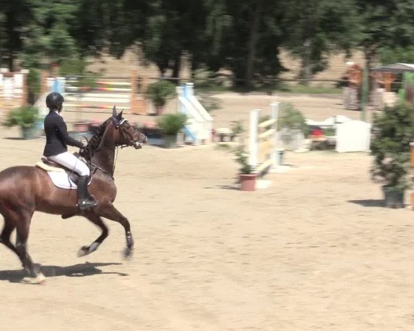 Reitturnier Erkrath - Uhlenhof 2016